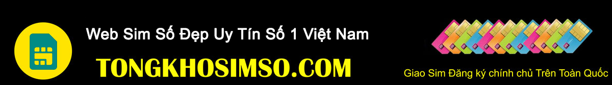 tongkhosimso.com